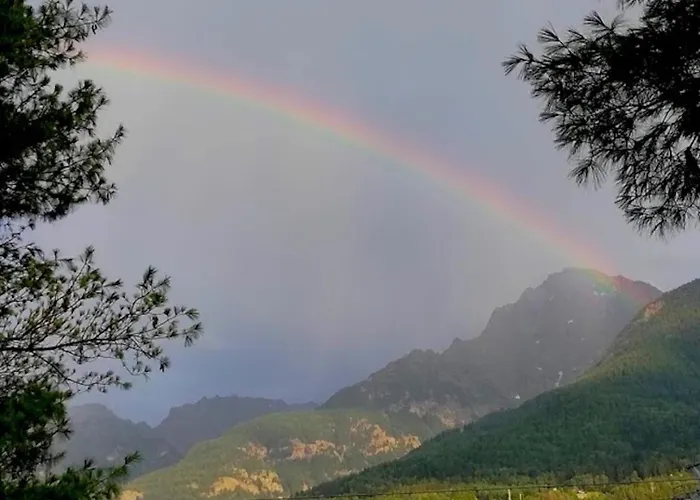 La Vache Qui Roule -cir Charvensod 0037 * Aosta